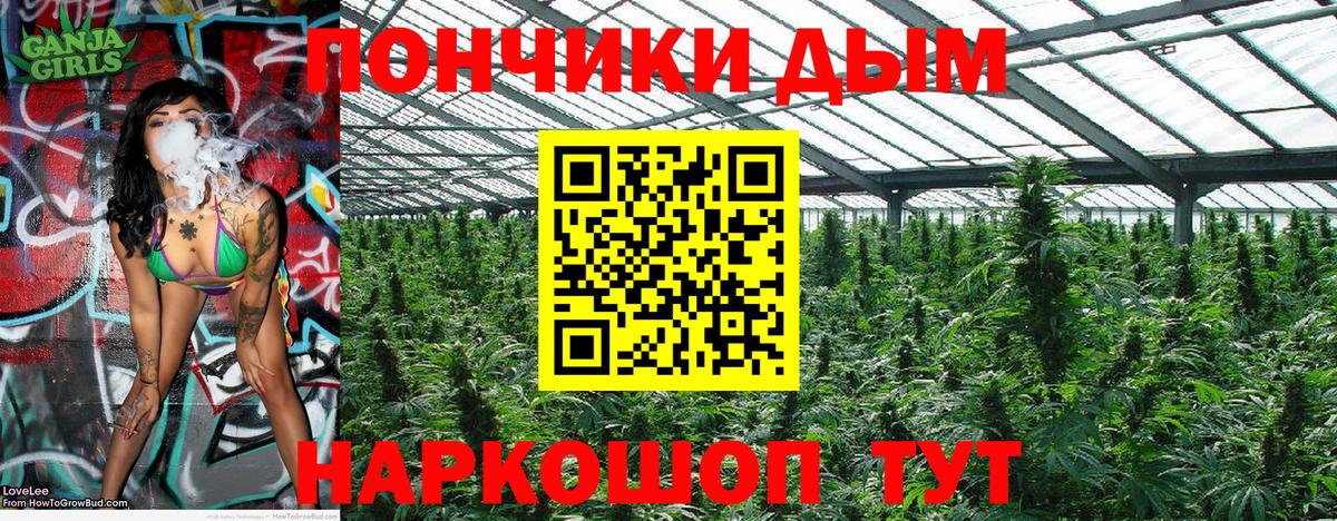 Тобольск  Бошки марихуана семена  Вход с VPN  Канабис планчик  Конопля THC 21% 
